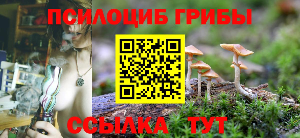 Подольск  Псилоцибиновые грибы MAGIC MUSHROOMS  Псилоцибиновые грибы GOLDEN TEACHER  Вход с VPN 